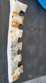 Paraspifferi a tema Gattini per porta