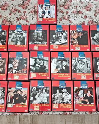 Lotto 19 film su DVD di Totò