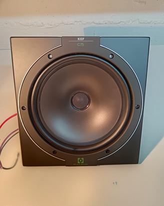 driver Kef Sp 1244  (uni-q tweeter/mid) 
