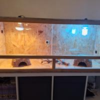 TECA RETTILI più accessori