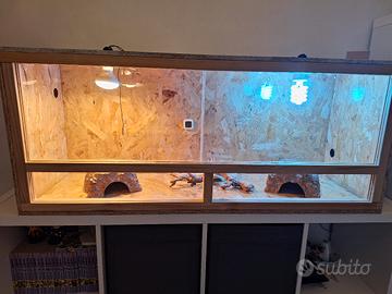 TECA RETTILI più accessori