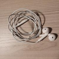 Apple earpods