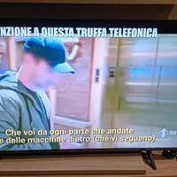 TV TCL 43 pollici