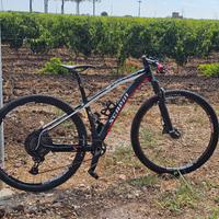 Mtb 29 Scapin Oraklo  S