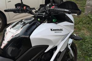 Kawasaki Versys 650