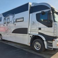 Van trasporto 5/6 cavalli Iveco Stralis S 420