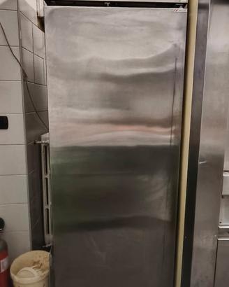 Freezer a Colonna Polaris (Autosbrinante)