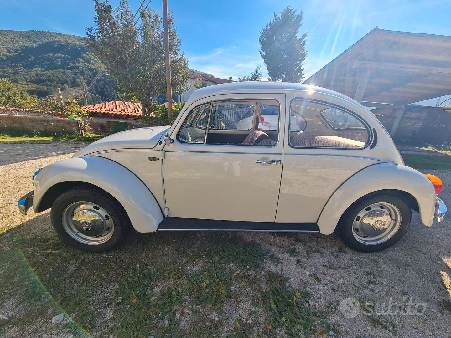 Volkswagen Maggiolino