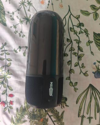 cassa Bluetooth 