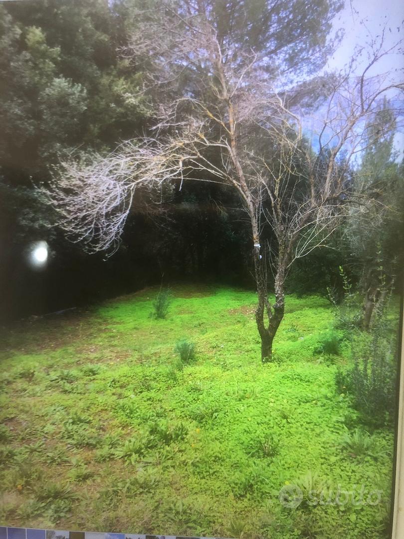Terreno con casetta - View 3
