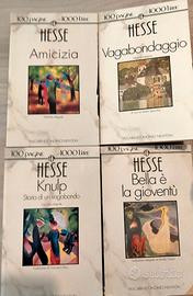 Piccola raccolta di libri di Hermann Hesse