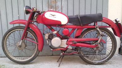 Guzzi CardeIIn0