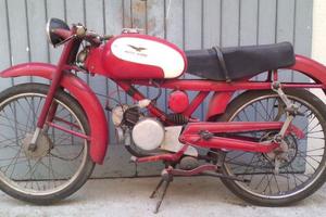 Guzzi CardeIIn0
