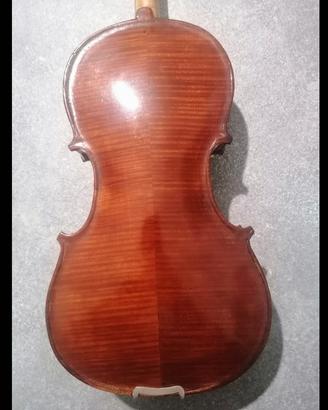 violino