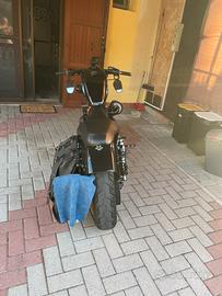 Harley devison 883 iron