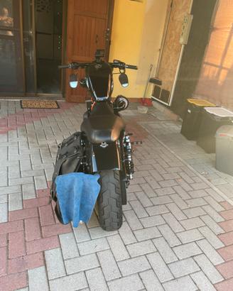 Harley devison 883 iron