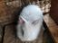 Immagine 5
