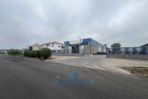 Immobile di 1900 m² con più di 5 locali a Catania