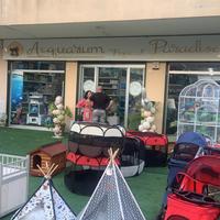 Strutture di attività negozi di animali