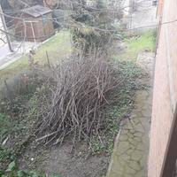 legna per camini