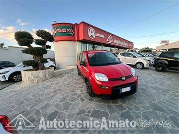 FIAT Panda 3° serie 1.0 FireFly S&S Hybrid City