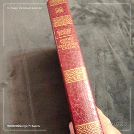 libro amore nella stagione calda