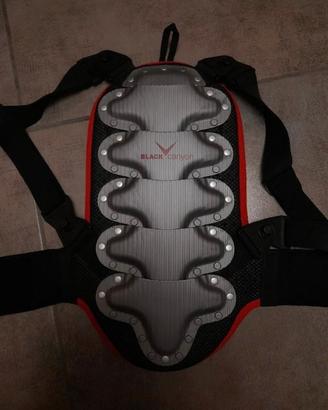 Protezione snowboard