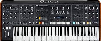 Muse moog synth analogico