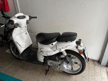 Scarabeo 50
