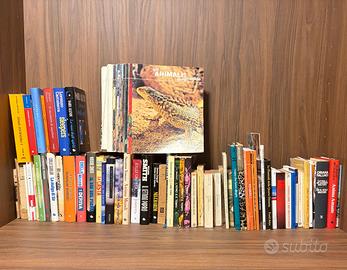 Lotto libri