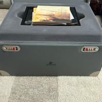 Cavalli Selvaggi Swarovski