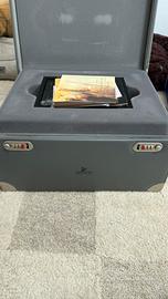 Cavalli Selvaggi Swarovski