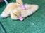 Immagine 1