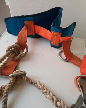 cintura antinfortunistica bracatura.