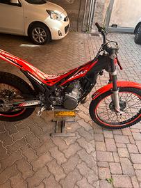 Beta evo 300