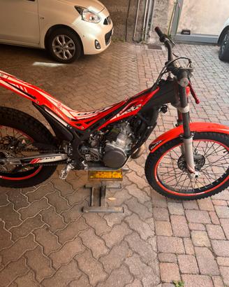 Beta evo 300