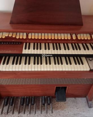 Organo Godwin anni 70
