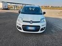 fiat-panda