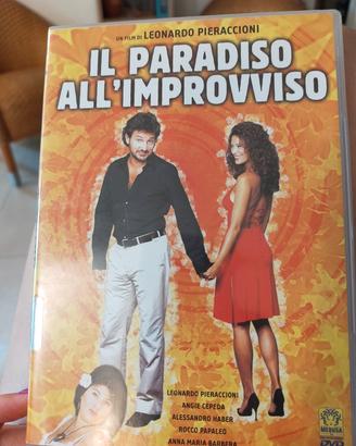 DVD il paradiso all' improvviso 