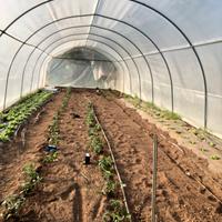 Tunnel ad archi 4,5x4,5