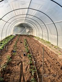 Tunnel ad archi 4,5x4,5