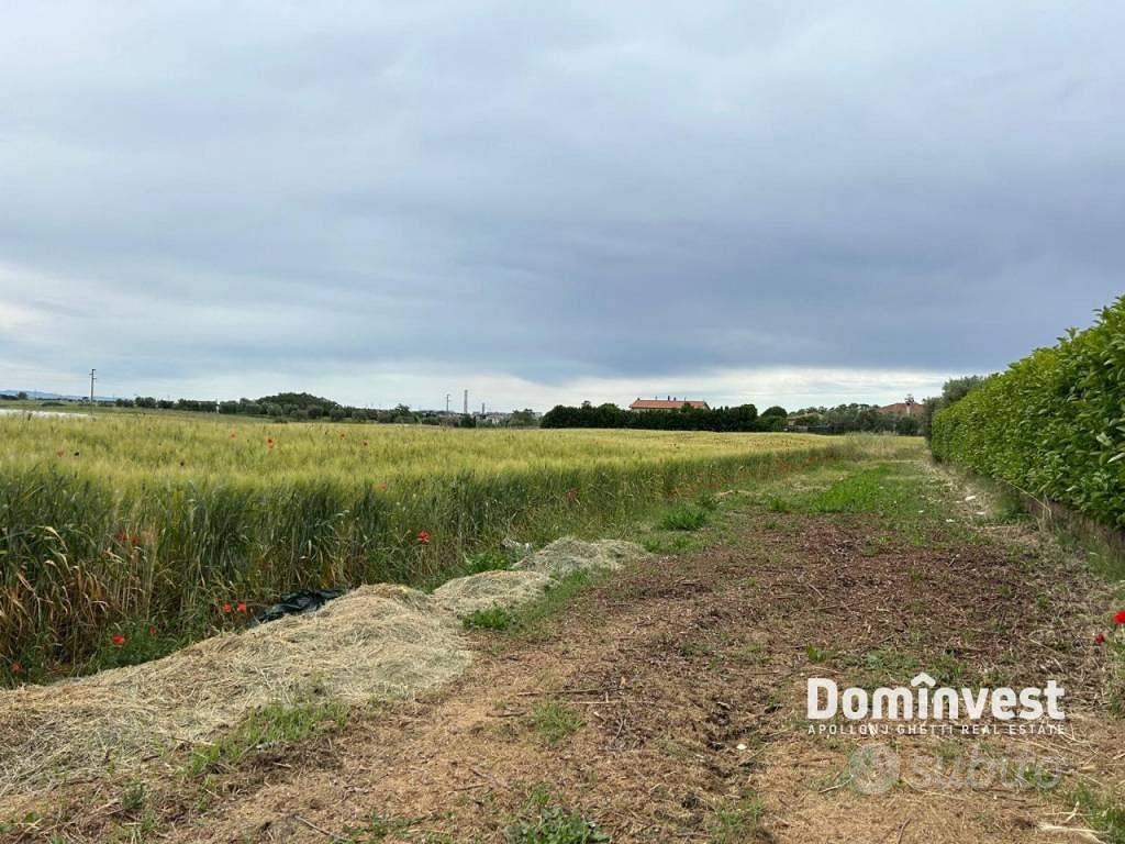 Terreno di 33000 m² a Montalto di Castro - Vista 3