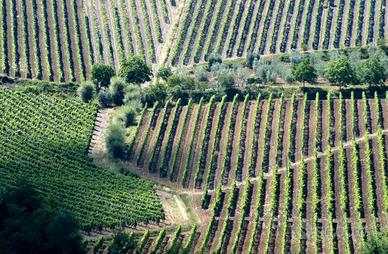 Rustico Cascina nelle campagne
