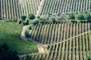 Rustico Cascina nelle campagne