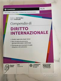 Compendio Diritto Internazionale 