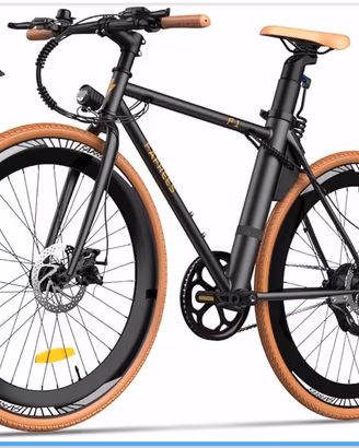Bicicletta elettrica
