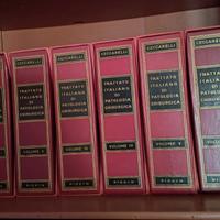 "Trattato Italiano di Patologia Chirurgica"