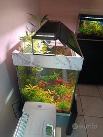 acquario juwel lido 120