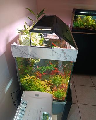 acquario juwel lido 120