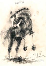 Disegno originale a carboncino – Cavallo 